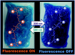 Graphical abstract: Photo-driven near-IR fluorescence switch: synthesis and spectroscopic investigation of squarine-spiropyran dyad