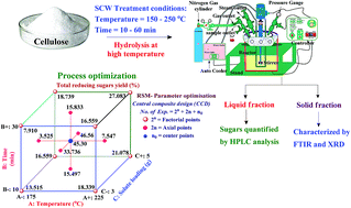 Graphical abstract: Optimization and hydrolysis of cellulose under subcritical water treatment for the production of total reducing sugars