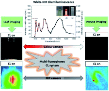 Graphical abstract: Broad-spectrum chemiluminescence covering a 400–1400 nm spectral region and its use as a white-near infrared light source for imaging