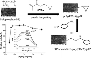 Graphical abstract: A horseradish peroxidase immobilized radiation grafted polymer matrix: a biocatalytic system for dye waste water treatment