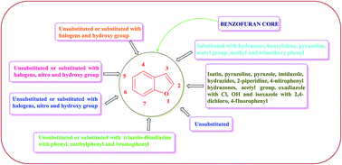 Graphical abstract: Benzofuran: an emerging scaffold for antimicrobial agents