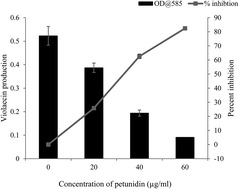 Graphical abstract: Petunidin as a competitive inhibitor of acylated homoserine lactones in Klebsiella pneumoniae