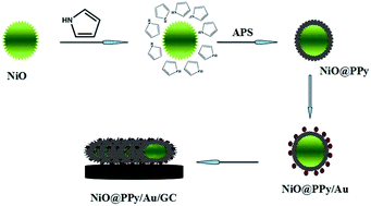 Graphical abstract: Dispersed gold nanoparticles on NiO coated with polypyrrole for non-enzymic amperometric sensing of glucose