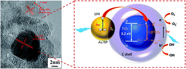 Graphical abstract: Au nanoparticle homogeneously decorated C@TiO2 for enhanced visible-light-driven photocatalytic activity