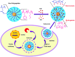 Graphical abstract: Dual-responsive star-shaped polypeptides for drug delivery