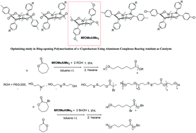 Graphical abstract: Optimizing ring-opening polymerization of ε-caprolactone by using aluminum complexes bearing amide as catalysts and their application in synthesizing poly-ε-caprolactone with special initiators and other polycycloesters