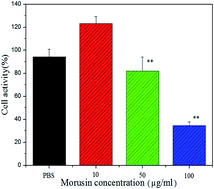 Graphical abstract: Anti-tumor effect of morusin from the branch bark of cultivated mulberry in Bel-7402 cells via the MAPK pathway