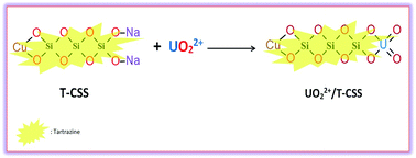 Graphical abstract: A new organic-silica based nanocomposite prepared for spectrophotometric determination of uranyl ions