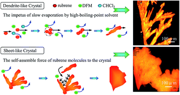 Graphical abstract: Insight into crystallization process of rubrene by binary solvent mixtures