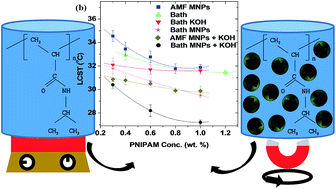 Graphical abstract: Remote triggering of thermoresponsive PNIPAM by iron oxide nanoparticles