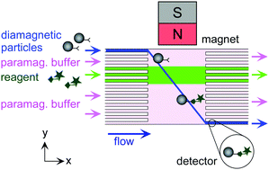 Graphical abstract: Diamagnetic repulsion of particles for multilaminar flow assays
