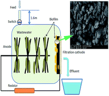 Graphical abstract: A new design of activated carbon membrane air-cathode for wastewater treatment and energy recovery