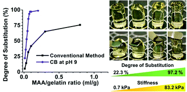 Graphical abstract: Efficient and controllable synthesis of highly substituted gelatin methacrylamide for mechanically stiff hydrogels