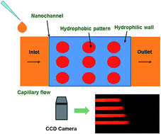 Graphical abstract: Capillary flow control in nanochannels via hybrid surface