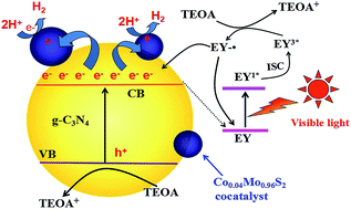Graphical abstract: Modulating photogenerated electron transfer with selectively exposed Co–Mo facets on a novel amorphous g-C3N4/CoxMo1−xS2 photocatalyst
