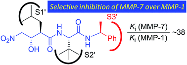 Graphical abstract: Nitro-based selective inhibitors against matrix metalloproteinase-7 over matrix metalloproteinase-1