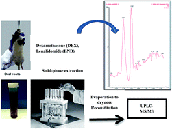 Graphical abstract: Simultaneous determination of dexamethasone and lenalidomide in rat plasma by solid phase extraction and ultra-performance liquid chromatography-tandem mass spectrometry: application to pharmacokinetic studies