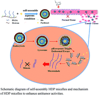 Graphical abstract: Self-assembly of pH-responsive dextran-g-poly(lactide-co-glycolide)-g-histidine copolymer micelles for intracellular delivery of paclitaxel and its antitumor activity