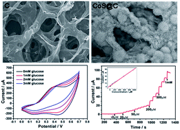 Graphical abstract: Nanoflower-like CoS-decorated 3D porous carbon skeleton derived from rose for a high performance nonenzymatic glucose sensor