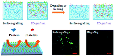 Graphical abstract: Self-repairing nonfouling polyurethane coatings via 3D-grafting of PEG-b-PHEMA-b-PMPC copolymer