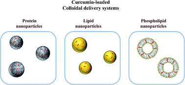 Graphical abstract: Food-grade nanoparticles for encapsulation, protection and delivery of curcumin: comparison of lipid, protein, and phospholipid nanoparticles under simulated gastrointestinal conditions
