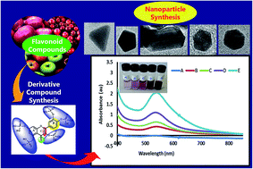 Graphical abstract: Greener synthesis and characterization, antimicrobial and cytotoxicity studies of gold nanoparticles of novel shapes and sizes