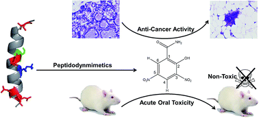 Graphical abstract: Evaluation of the anticancer properties of the predicted hBaxBH3-mimetic compound 2-hydroxy-3,5-dinitrobenzamide in a mammary carcinogenesis-induced rat model