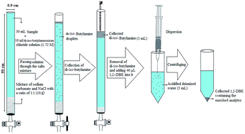 Graphical abstract: Development of a new version of homogenous liquid–liquid extraction based on an acid–base reaction: application for extraction and preconcentration of aryloxyphenoxy-propionate pesticides from fruit juice and vegetable samples