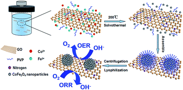 Graphical abstract: One-pot synthesis of monodispersed porous CoFe2O4 nanospheres on graphene as an efficient electrocatalyst for oxygen reduction and evolution reactions