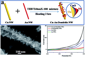 Graphical abstract: Unconventional synthesis of Cu–Au dendritic nanowires with enhanced electrochemical activity