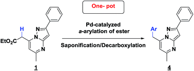 Graphical abstract: A one-pot process for the microwave-assisted synthesis of 7-substituted pyrazolo[1,5-a]pyrimidine