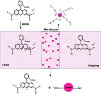 Graphical abstract: Removal of Rhodamine B from water by using CdTeSe quantum dot-cellulose membrane composites