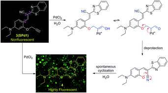 Graphical abstract: A depropargylation-triggered spontaneous cyclization based fluorescent “turn-on” chemodosimeter for the detection of palladium ions and its application in live-cell imaging