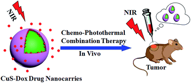 Graphical abstract: Facile-synthesized ultrasmall CuS nanocrystals as drug nanocarriers for highly effective chemo–photothermal combination therapy of cancer