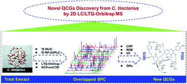 Graphical abstract: Selective and comprehensive characterization of the quinochalcone C-glycoside homologs in Carthamus tinctorius L. by offline comprehensive two-dimensional liquid chromatography/LTQ-Orbitrap MS coupled with versatile data mining strategies