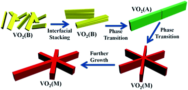 Graphical abstract: Phase evolution and crystal growth of VO2 nanostructures under hydrothermal reactions