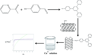 Graphical abstract: Nitrogen-functionalised carbon nanotubes as a novel adsorbent for the removal of Cu(ii) from aqueous solution