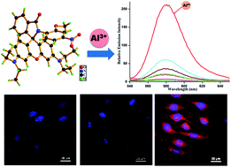 Graphical abstract: A chemosensor for Al3+ ions in aqueous ethanol media: photophysical and live cell imaging studies
