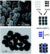 Graphical abstract: Adsorption of toxic acidic dye from aqueous solution onto diethylenetriamine functionalized magnetic glycidyl methacrylate-N,N′-methylenebisacrylamide
