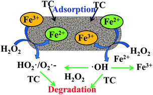 Graphical abstract: Degradation of tetracycline hydrochloride by heterogeneous Fenton-like reaction using Fe@Bacillus subtilis