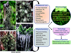 Graphical abstract: The genus Usnea: a potent phytomedicine with multifarious ethnobotany, phytochemistry and pharmacology
