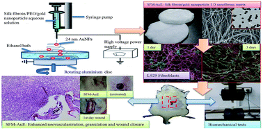 Graphical abstract: Wet electrospun silk fibroin/gold nanoparticle 3D matrices for wound healing applications