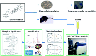 Graphical abstract: LC-ESI-TOF-MS-based metabolomic analysis of ginsenoside Rd-induced anaphylactoid reaction in mice