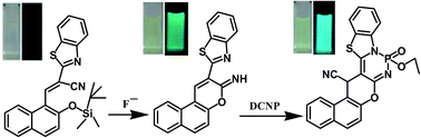 Graphical abstract: Relay recognition of F− and a nerve-agent mimic diethyl cyano-phosphonate in mixed aqueous media: discrimination of diethyl cyanophosphonate and diethyl chlorophosphate by cyclization induced fluorescence enhancement
