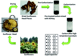 Graphical abstract: Oxygen-enriched hierarchical porous carbon derived from biowaste sunflower heads for high-performance supercapacitors