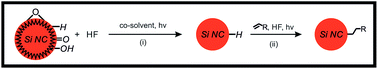 Graphical abstract: Determining the impact of hydrofluoric acid on surface states of as-prepared and chemically modified Si nanocrystals