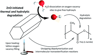 Graphical abstract: Towards the development of eco-friendly disposable polymers: ZnO-initiated thermal and hydrolytic degradation in poly(l-lactide)/ZnO nanocomposites