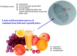 Graphical abstract: The cadmium binding characteristics of a lactic acid bacterium in aqueous solutions and its application for removal of cadmium from fruit and vegetable juices