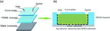 Graphical abstract: Design and fabrication of a microfluidic SERS chip with integrated Ag film@nanoAu