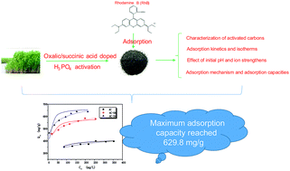 Graphical abstract: Ultra-high Rhodamine B adsorption capacities from an aqueous solution by activated carbon derived from Phragmites australis doped with organic acid by phosphoric acid activation